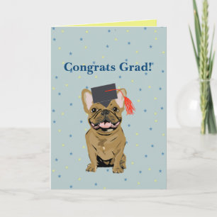 Examen, Grattis Student! Fransk Bulldog Kort