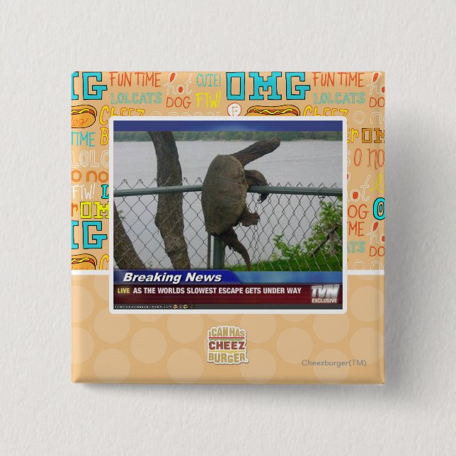 Excaping sköldpadda knapp (Framsida)