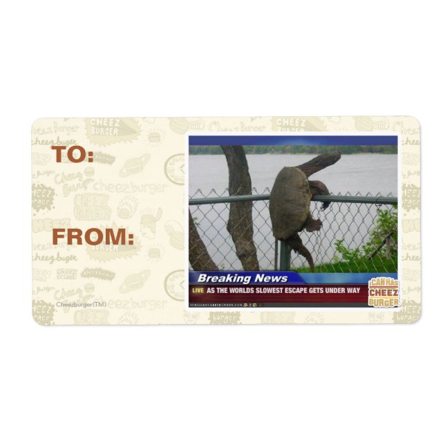 Excaping Turtle Fraktsedel (Framsidan)