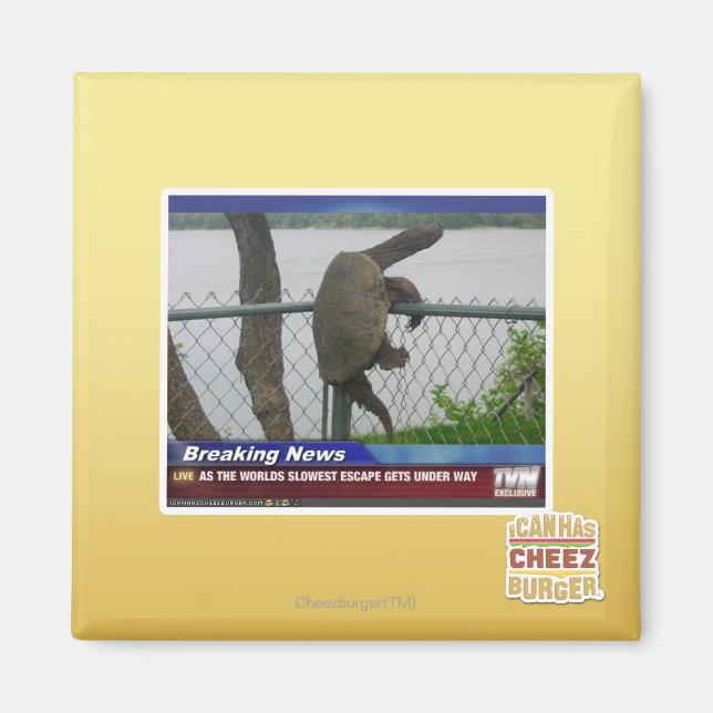 Excaping Turtle Magnet (Framsidan)