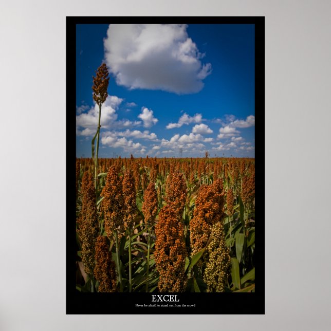 Excel Poster (Framsidan)