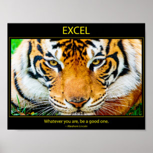 Excel Poster