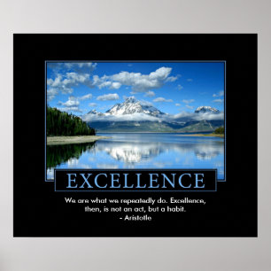 Excellence inspirational Poster