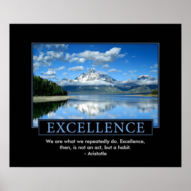 Excellence inspirational Poster (Framsidan)
