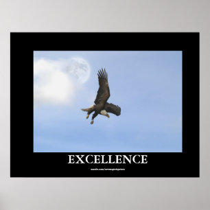 Excellence Örn Motivational Poster