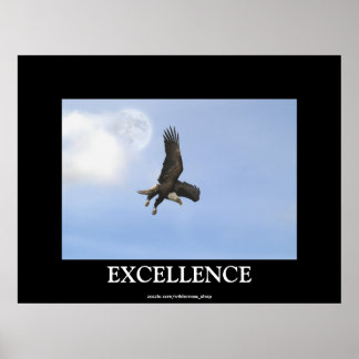 Excellence Örn Motivational Poster