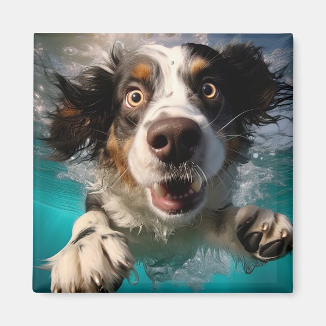 Exceptionell Hund Swimming Underwater Design Magnet (Framsidan)