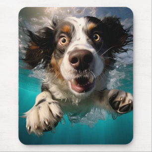 Exceptionell Hund Swimming Underwater Design Musmatta