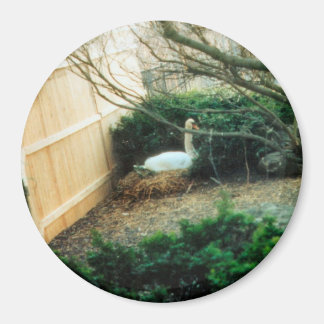 Exekverande Mor Magnet