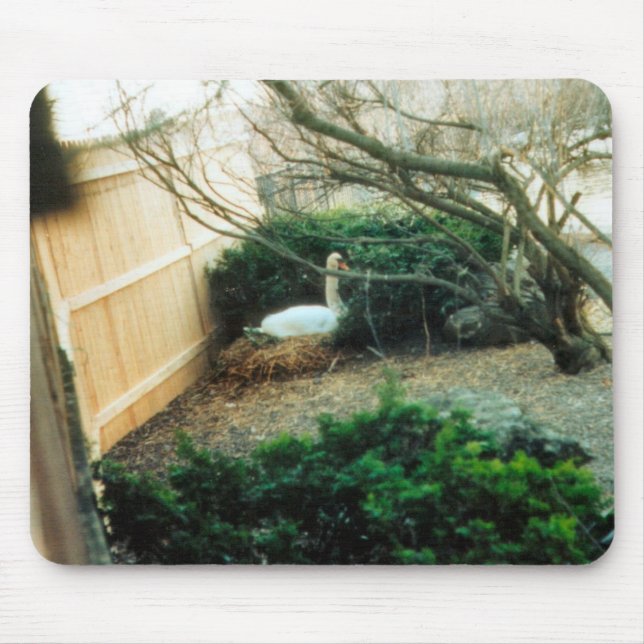 Exekverande Mor Musmatta (Framsidan)