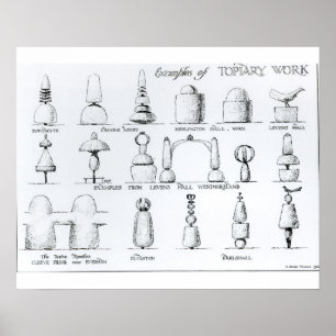 Exempel av topiaryen fungerar, 1902 (gravyr) (b/w poster