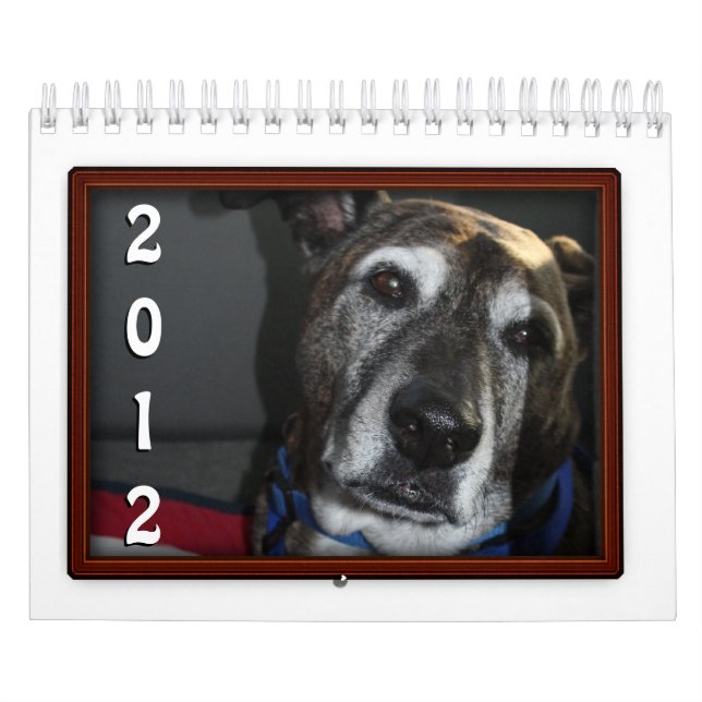 Exempel på Photo Ram Calendar Kalender (Omslag)