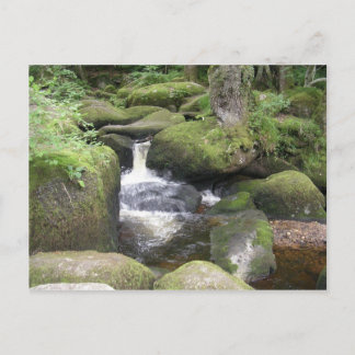 exeter 2009 105 vykort