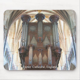 Exeter orgel musmössa musmatta