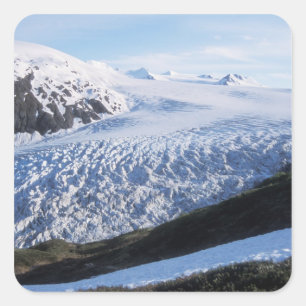 Exit Glacier i Kenai Fjords National Park, Fyrkantigt Klistermärke
