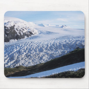 Exit Glacier i Kenai Fjords National Park, Musmatta