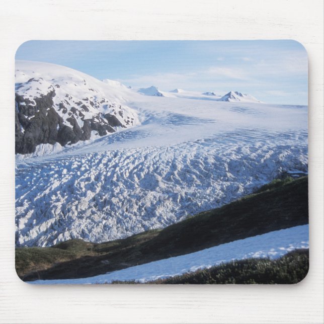 Exit Glacier i Kenai Fjords National Park, Musmatta (Framsidan)