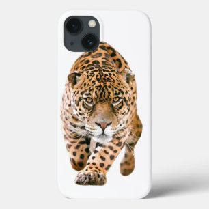 Exklusiv Speciell Jaguar Öga