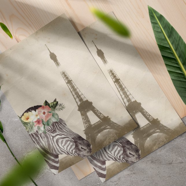 Exklusiv Zebra & Eiffeltornet Scrapbook (Skapare uppladdad)