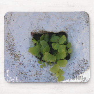 Exklusiva Mousepad - vägg 044 Musmatta