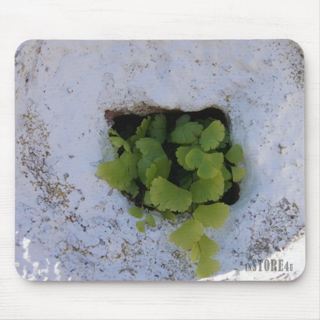 Exklusiva Mousepad - vägg 044 Musmatta (Framsidan)