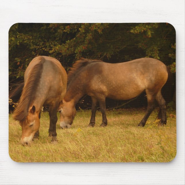 Exmoor ponnyer Mousepad Musmatta (Framsidan)