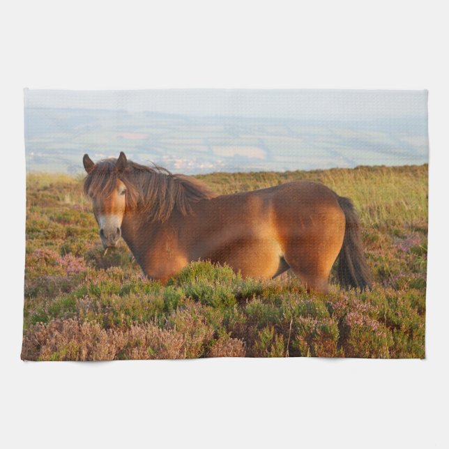 Exmoor pony, horse, Somerset, England Kökshandduk (Horisontell)