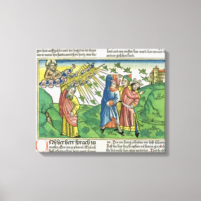 Exodus 10:1-20 Egyptenens sju fallskärmar: planen Canvastryck (Framsida)
