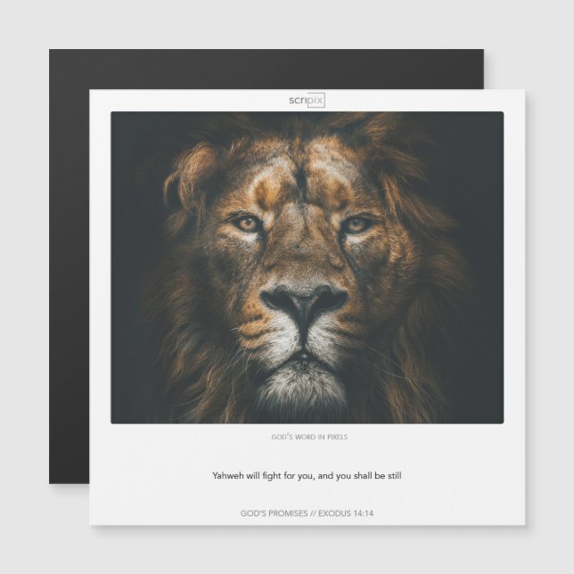 Exodus 14:14 GODS PROMISES SCRIPIX magnetiskt kort (Fram/baksida)