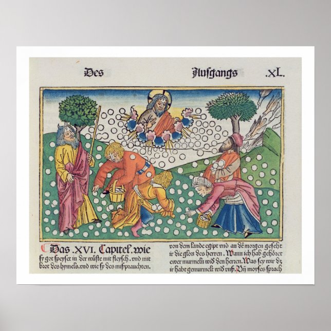 Exodus 16 13-22 Gud ger vaktel och manna till Poster (Framsidan)