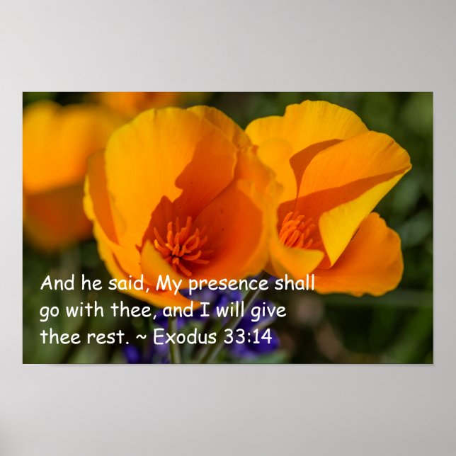 Exodus 33:14 poster (Framsidan)