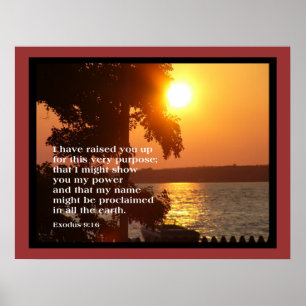 Exodus 9:16 STORA POSTER