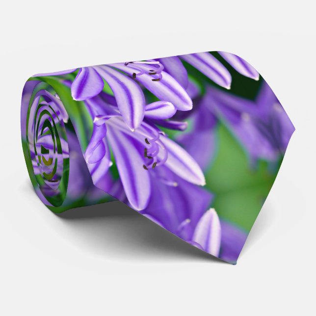 Exotic African Lily Slips (Rullad)