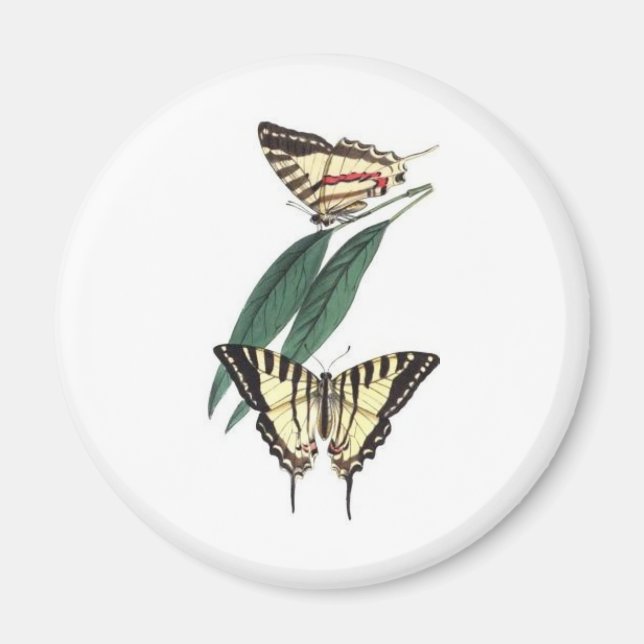 Exotic Bird Fridge Magnet (Framsidan)