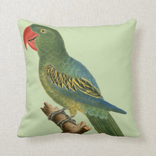 Exotic Bird Tropical Parrot Kudde