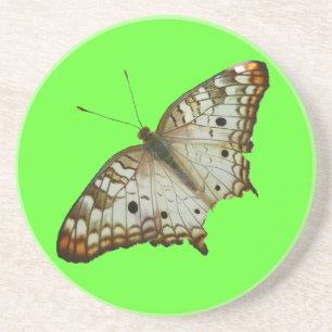 Exotic Butterfly från Saint Lucia Underlägg Sandsten