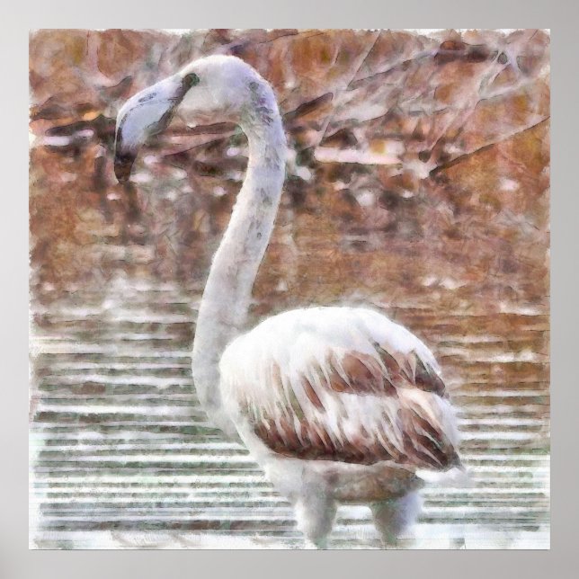 Exotic Flamingo Watercolor Poster (Framsidan)