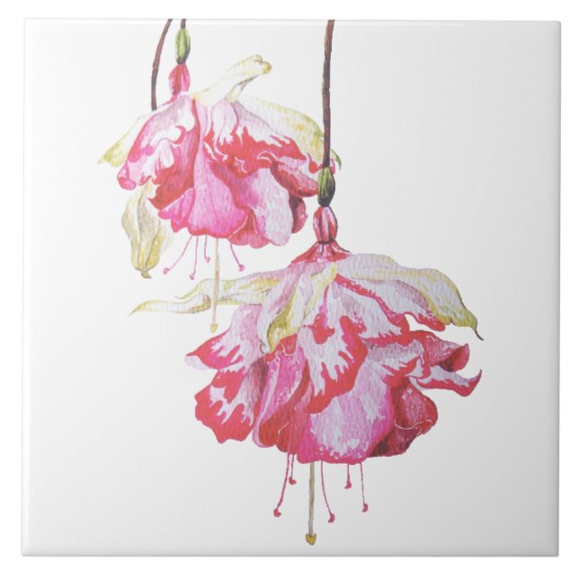Exotic Fuchsias på en keramisk platta Kakelplatta (Framsidan)