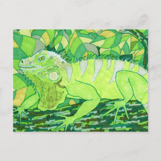 Exotic Iguana Vykort
