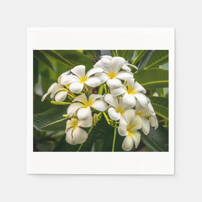 Exotic Island Plumeria Cocktail Napkin Pappersservett (Framsidan)