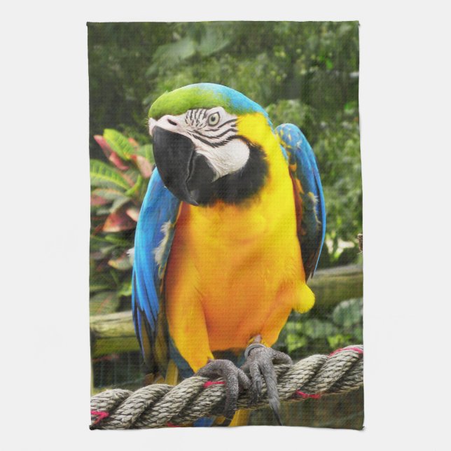 Exotic Macaw Parrot Kökshandduk (Vertikal)