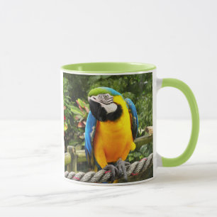 Exotic Macaw Parrot Mugg
