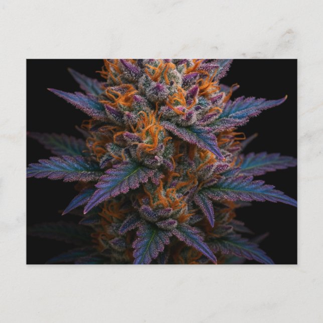 Exotic Ogräs Vykort (Framsida)