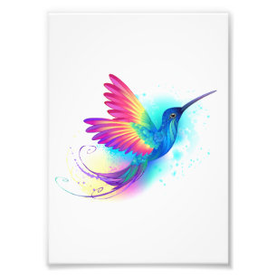 Exotic Rainbow Hummingbird Fototryck
