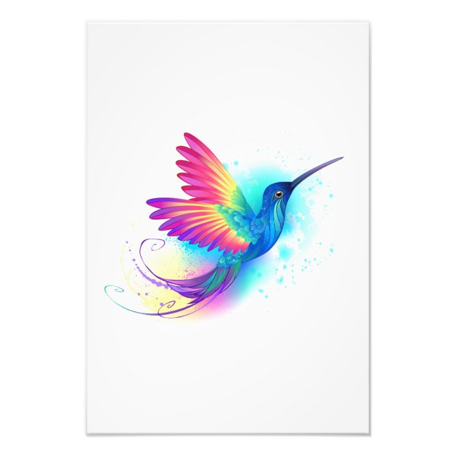 Exotic Rainbow Hummingbird Fototryck (Framsidan)