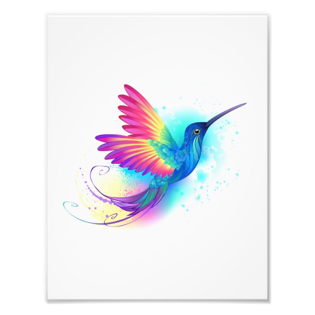 Exotic Rainbow Hummingbird Fototryck (Framsidan)
