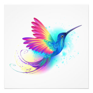 Exotic Rainbow Hummingbird Fototryck