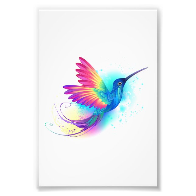 Exotic Rainbow Hummingbird Fototryck (Framsidan)