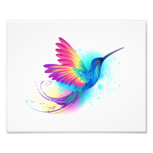 Exotic Rainbow Hummingbird Fototryck