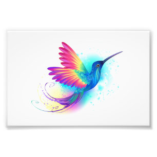 Exotic Rainbow Hummingbird Fototryck